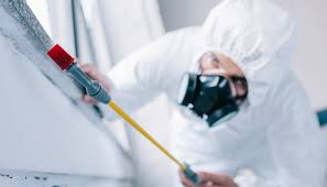 Best Residential Pest Control  in Taylorsville, NC